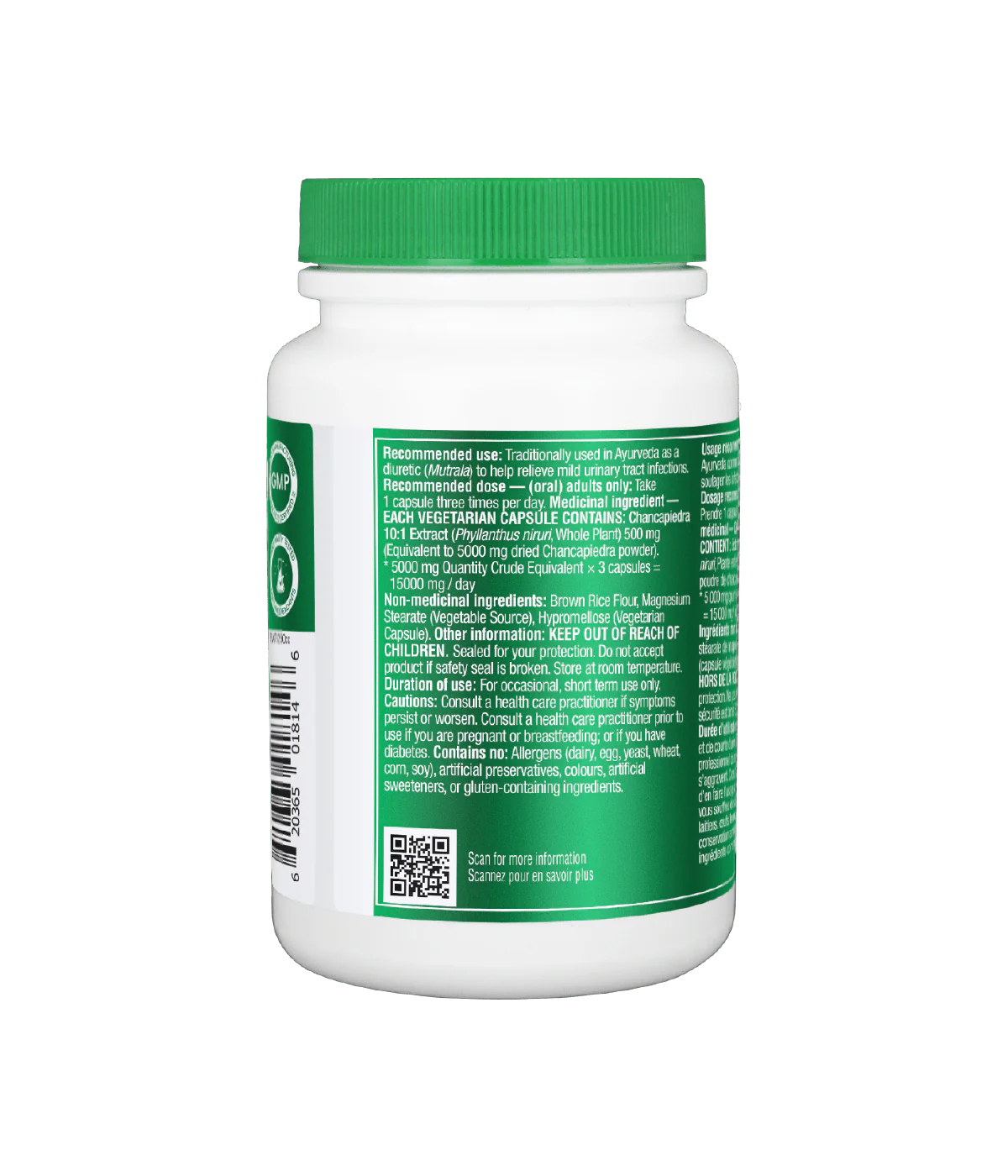 Chanca Piedra - Image 4