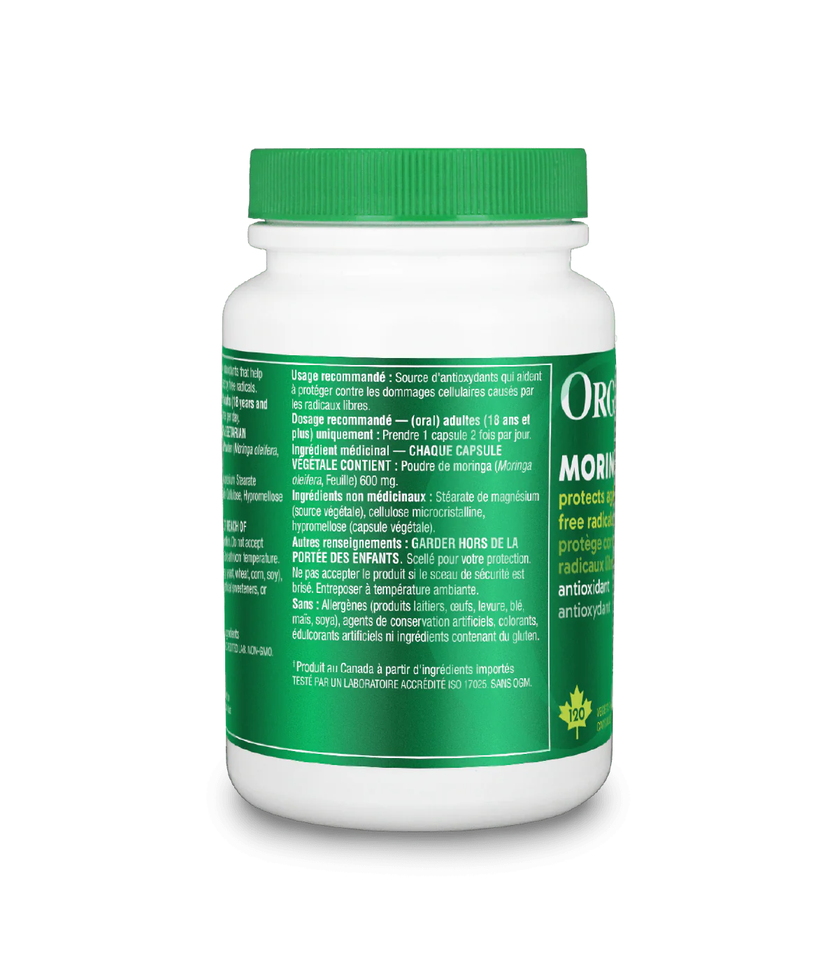 Moringa - Image 3