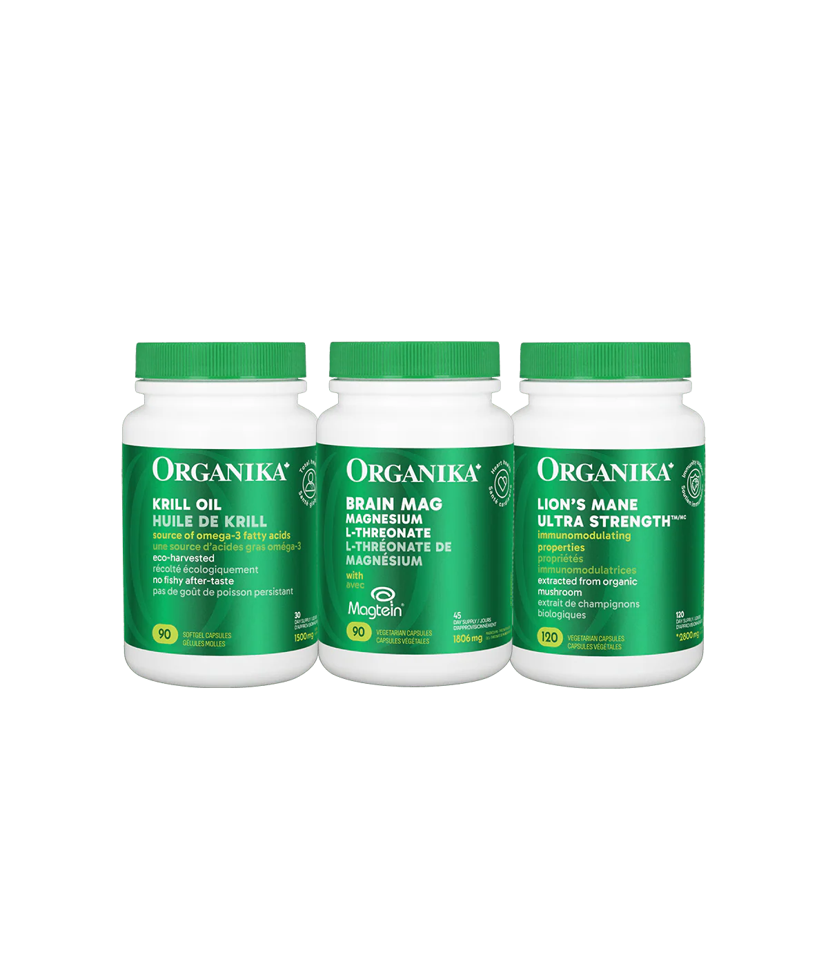 The Brain Strength Bundle